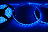 Лента светодиодная синяя 4.8Вт/м 12В 60LED/м SMD3528 IP65 (уп.5м) Neon-Night