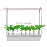 Набор для гидропоники Минисад светильник светодиодный для растений с подставкой 10Вт 540х540х220мм I