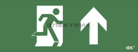 Этикетка самоклеящаяся Фигура/стрелка вверхдля для аварийных светильников ДПА IP20/54 IEK