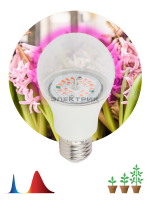 Лампа светодиодная для растений FITO CL А60 10Вт Е27 60х110мм ЭРА