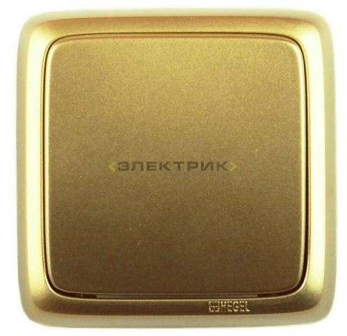 Переключатель одноклавишный наружный с изолирующей пластиной 16А золото ALFA HEGEL