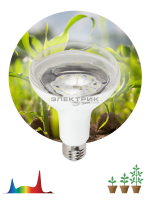 Лампа светодиодная для растений FITO CL R95 15Вт E27 95х135мм полного спектра ЭРА