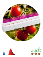 Светильник светодиодный для растений красно-синего спектра FITO-14W-Т5-N 14Вт 873х21,5х24,4мм IP20 Э