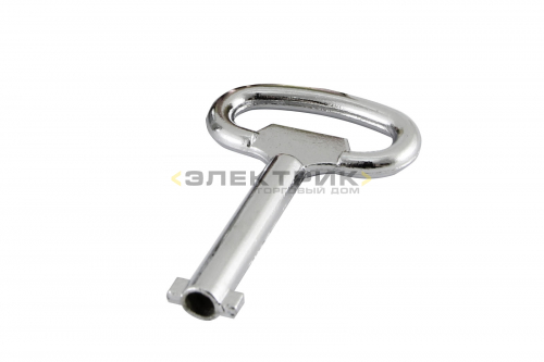 Ключ для замка SQ0825-0001 TDM