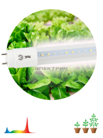 Лампа светодиодная для растений полного спектра FITO CL Т8 9Вт G13 30х610мм ЭРА