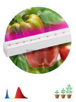 Светильник светодиодный для растений красно-синего спектра FITO-16W-Т5-N 16Вт 1173х21,5х24,4мм IP20 