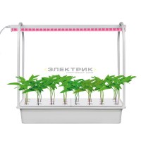 Набор для гидропоники Минисад светильник для растений светодиодный с подставкой 10Вт 540х540х220мм I