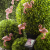 Гирлянда садовая ERADG012-07 на солнечной батарее 10LED фламинго 3,8м IP44 ЭРА