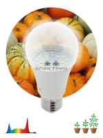 Лампа светодиодная для растений полноспектральная FITO CL А60 11Вт E27 60х120мм ЭРА