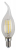 Лампа светодиодная филаментная FL CL CW35 5Вт Е14 4000К 545Лм 35х120мм ЭРА