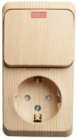 Блок наружный розетка одноместная с заземлением и шторками+выключатель одноклавишный с индикацией со
