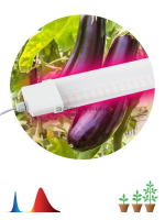 Светильник светодиодный для растений FITO-36W-RB-N 36Вт 220-240В IP65 ЭРА