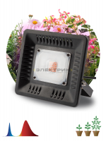 Прожектор светодиодный для растений FITO-50W-LED BLUERED 50Вт 220х199х35мм для цветения и плодоношен